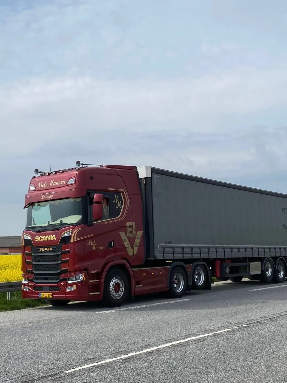 Mørkerød trækker med grå gardintrailer holder i vejkanten ved en gul rapsmark