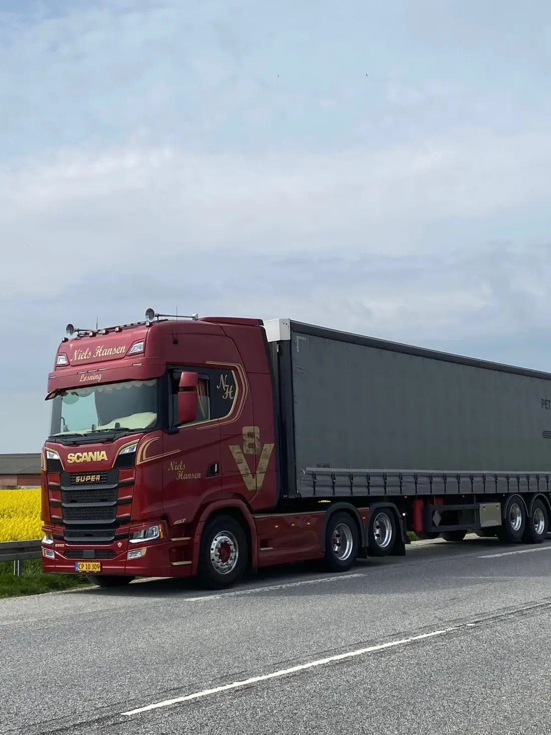 Mørkerød trækker med grå gardintrailer holder i vejkanten ved en gul rapsmark